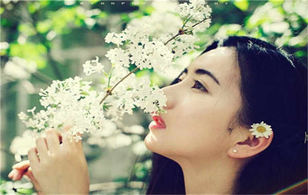 杜尔伯特验血查性别怎么邮寄(验血查性别几天能出结果)